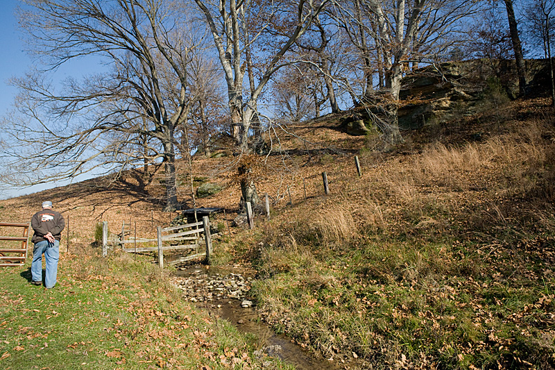 Spring on Crowe Family Farm, Greene County
