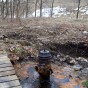 Flowing well near Highway 69