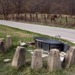 Flowing well near Martinsville