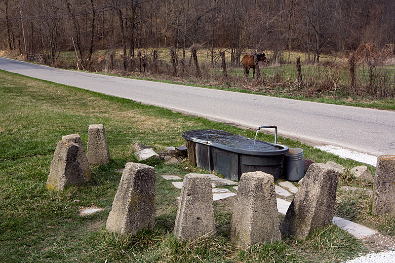 Flowing well near Martinsville