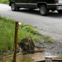 Truck, Bevery Shores Artesian Well