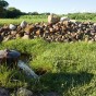 Artesina well near Albany IN