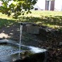 Tree Spring, Vermillion County IN
