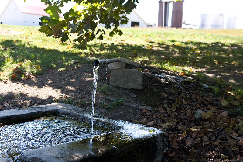 Tree Spring, Vermillion County IN